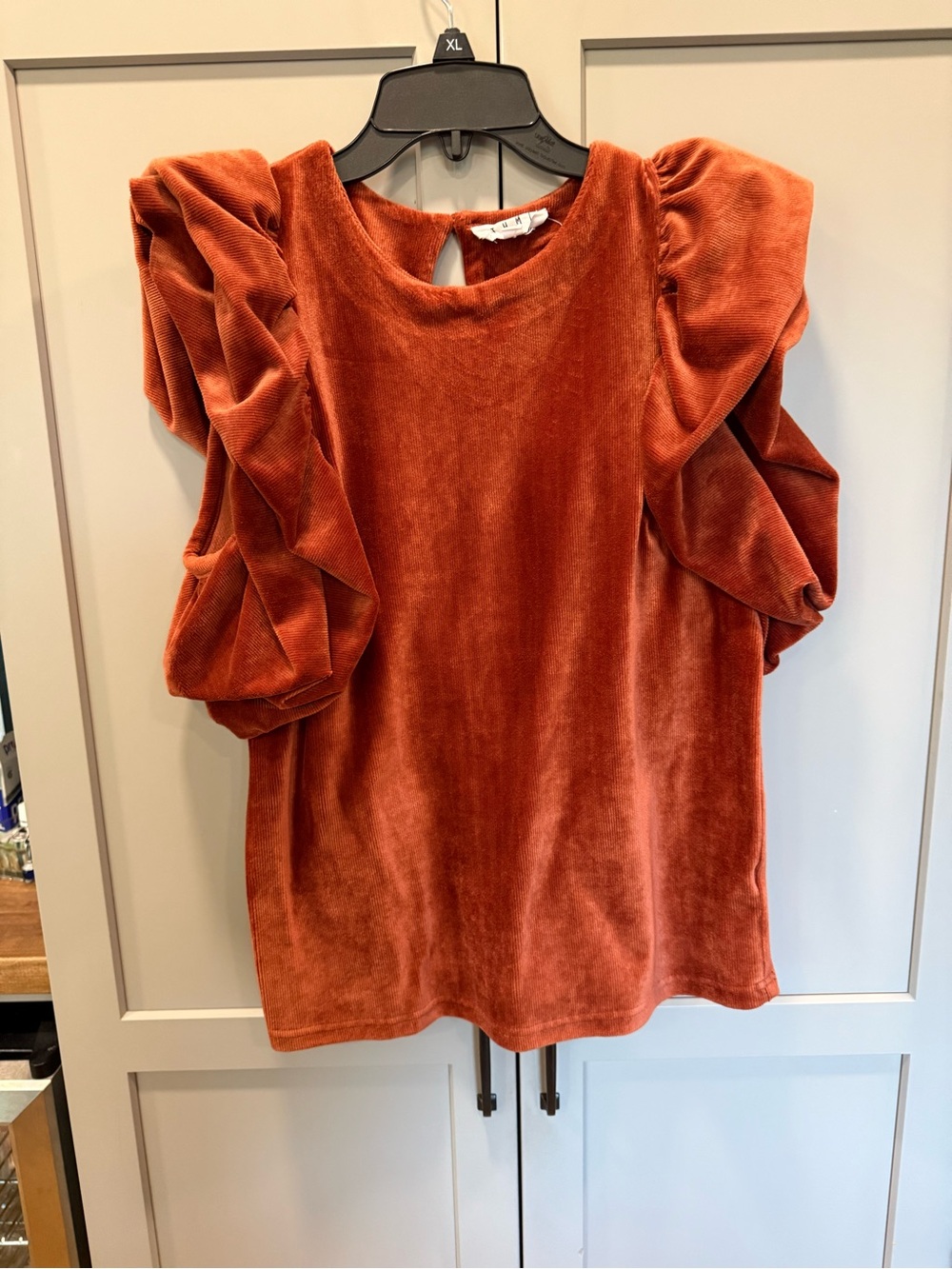 THML Rust Velvet Ruffled-Sleeve Blouse